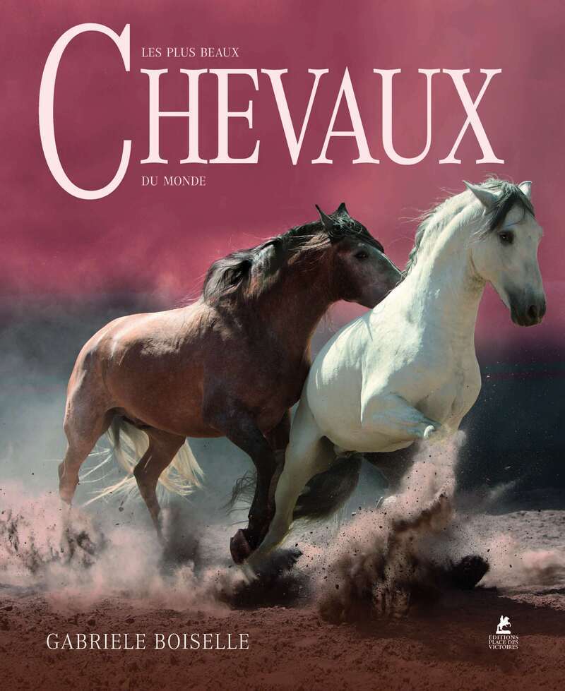 Les Plus Beaux Chevaux du Monde