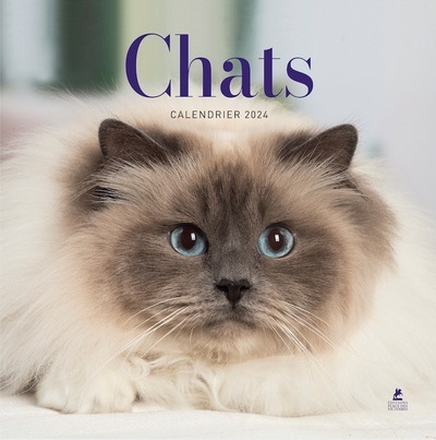 Calendrier Chats 2024