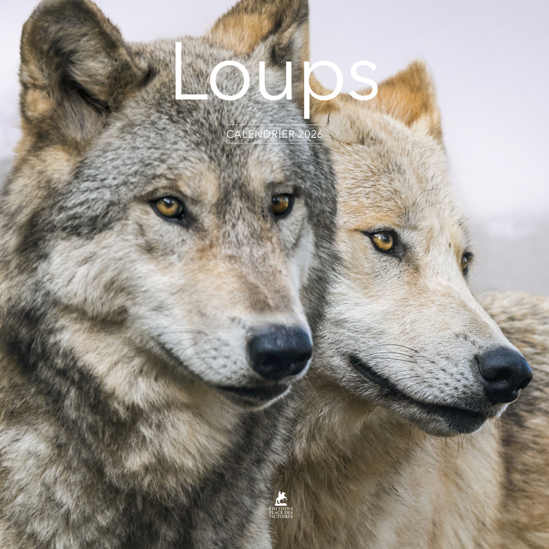 Calendrier 2026 - Loups