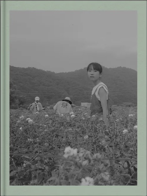 I Wonder Whose Skin This Crimson Flower Will Touch