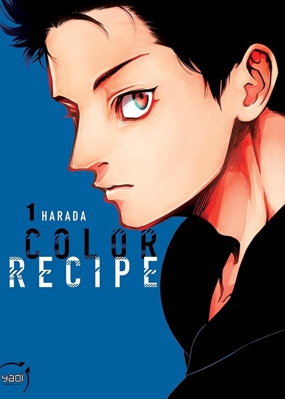 Color Recipe T01