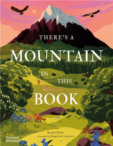 There's a Mountain in This Book /anglais