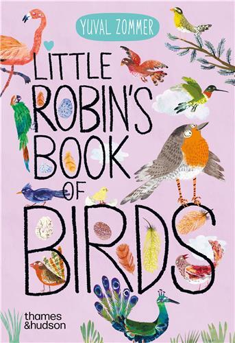 Little Robin's Book of Birds /anglais