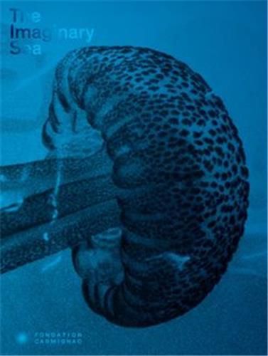 The imaginary sea - [exhibition, Porquerolles, Villa Carmignac, May 20th-October 17th 2021]