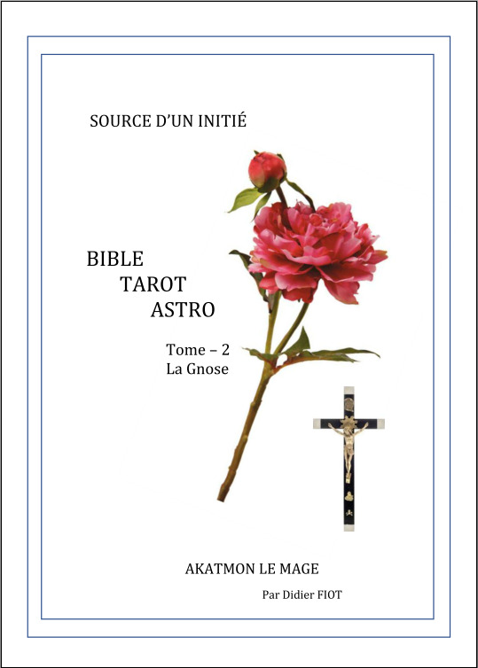 Bible Tarot Astro - Tome 2