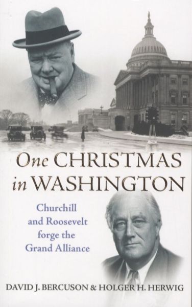 One Christmas in Washington