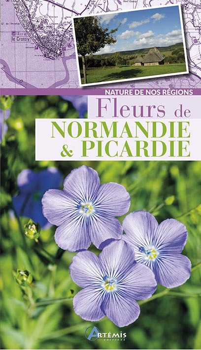 Fleurs de Normandie et Picardie