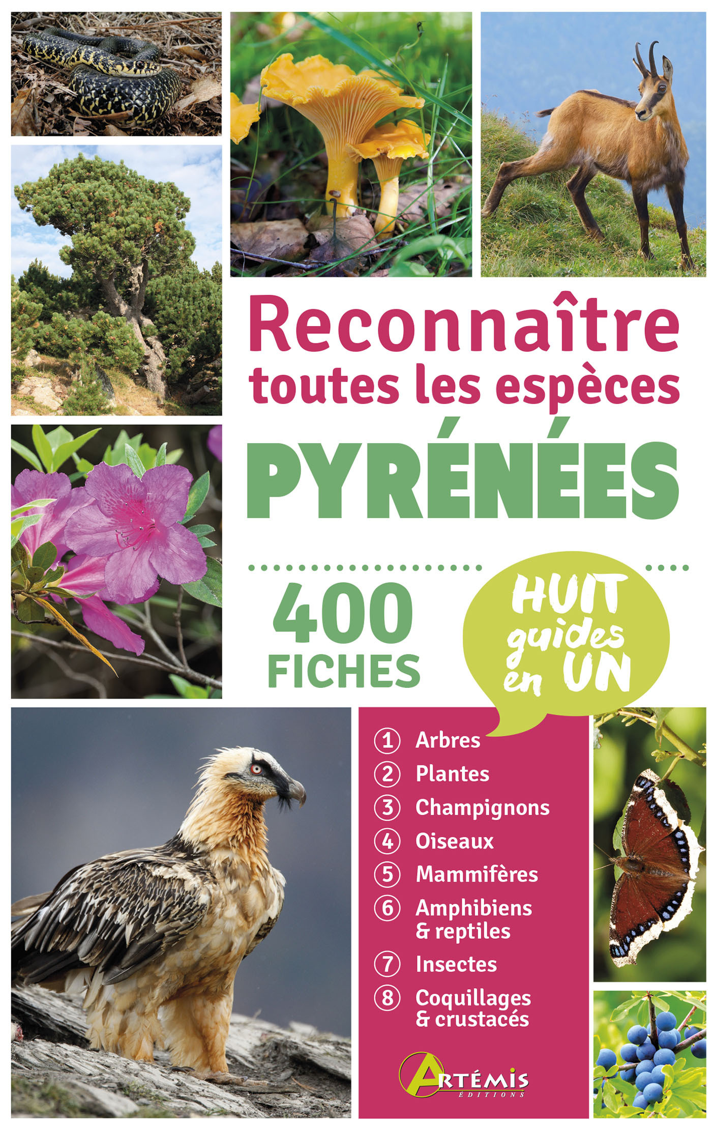 Pyrénées, reconnaître toutes les espèces