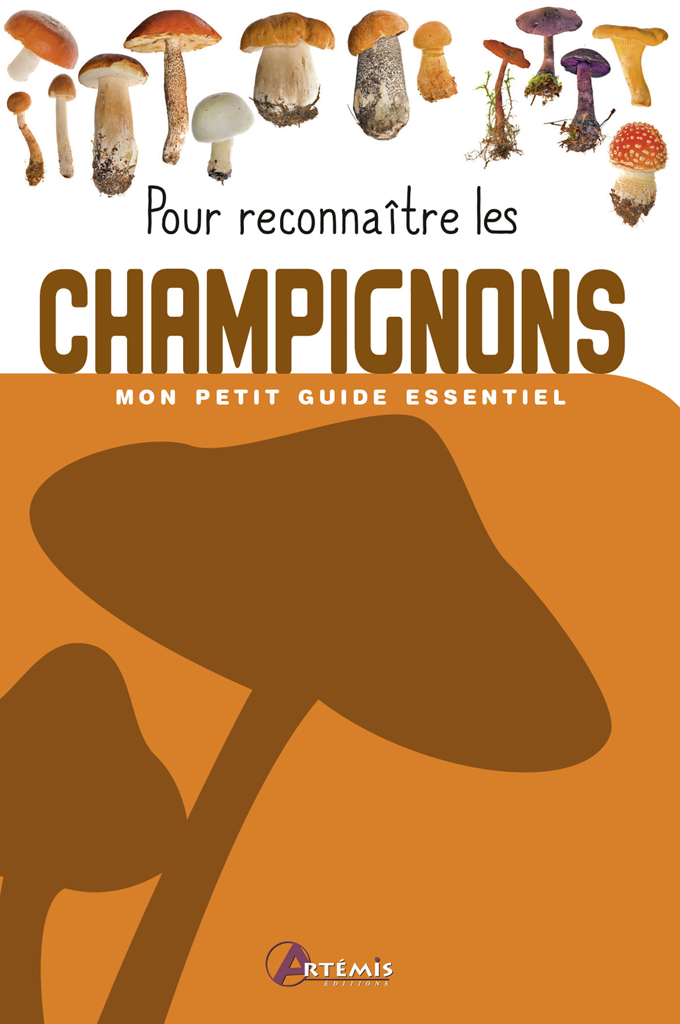 Pour reconnaître les champignons