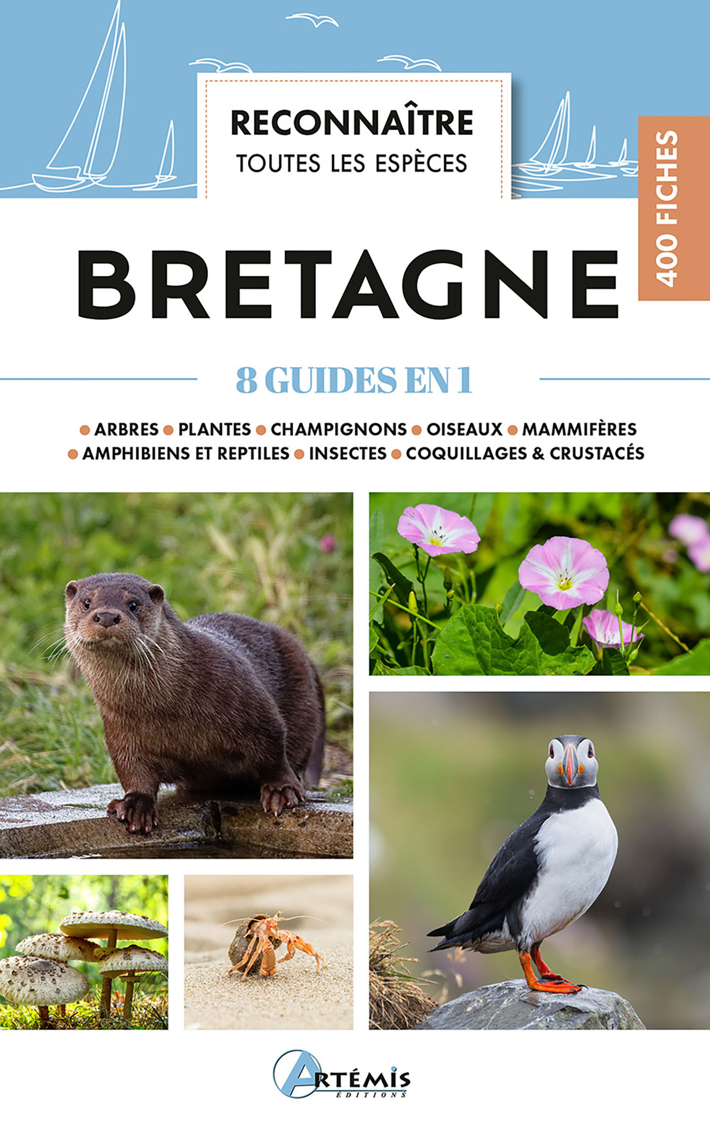 Reconnaître toutes les espèces de Bretagne