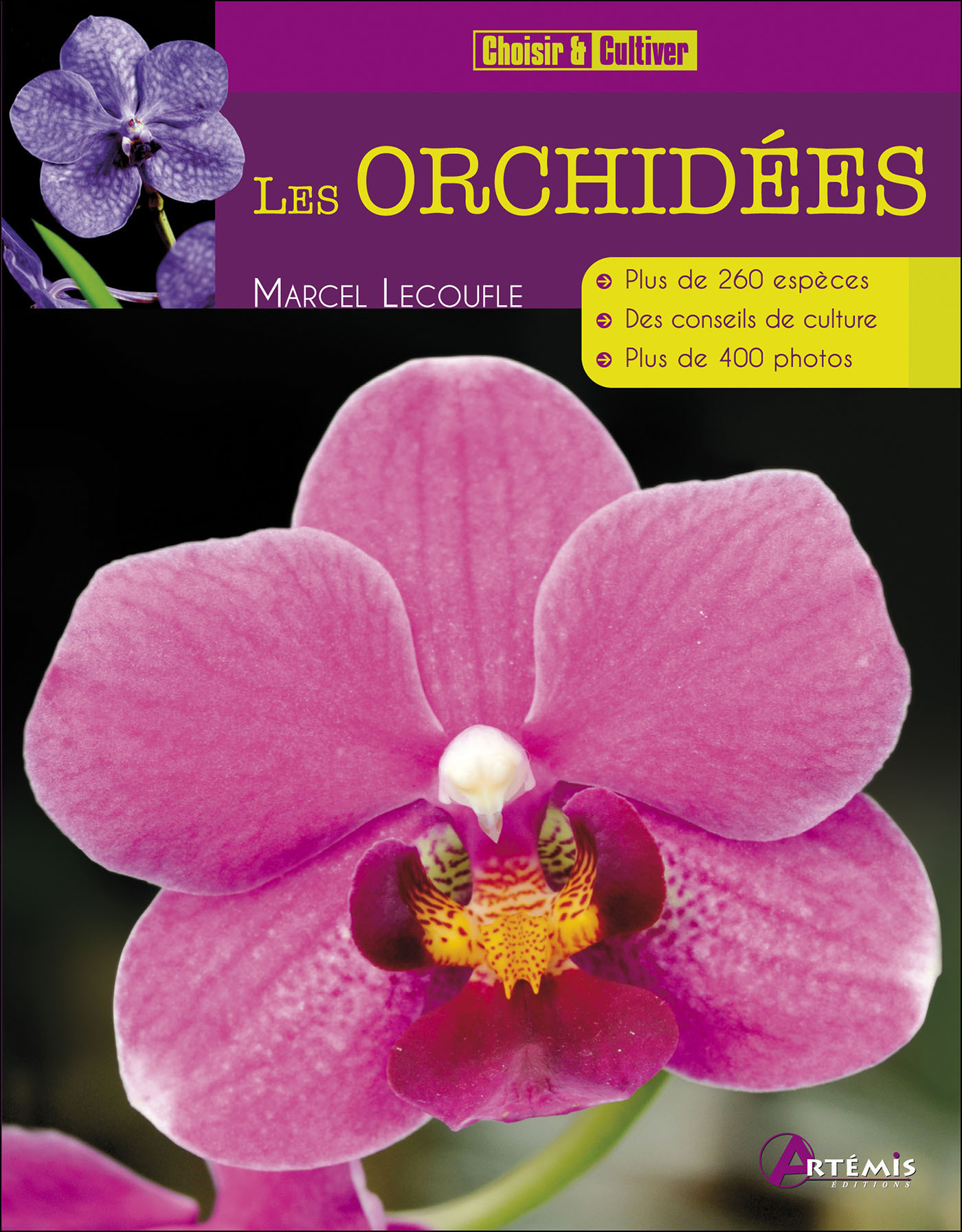 Orchidées