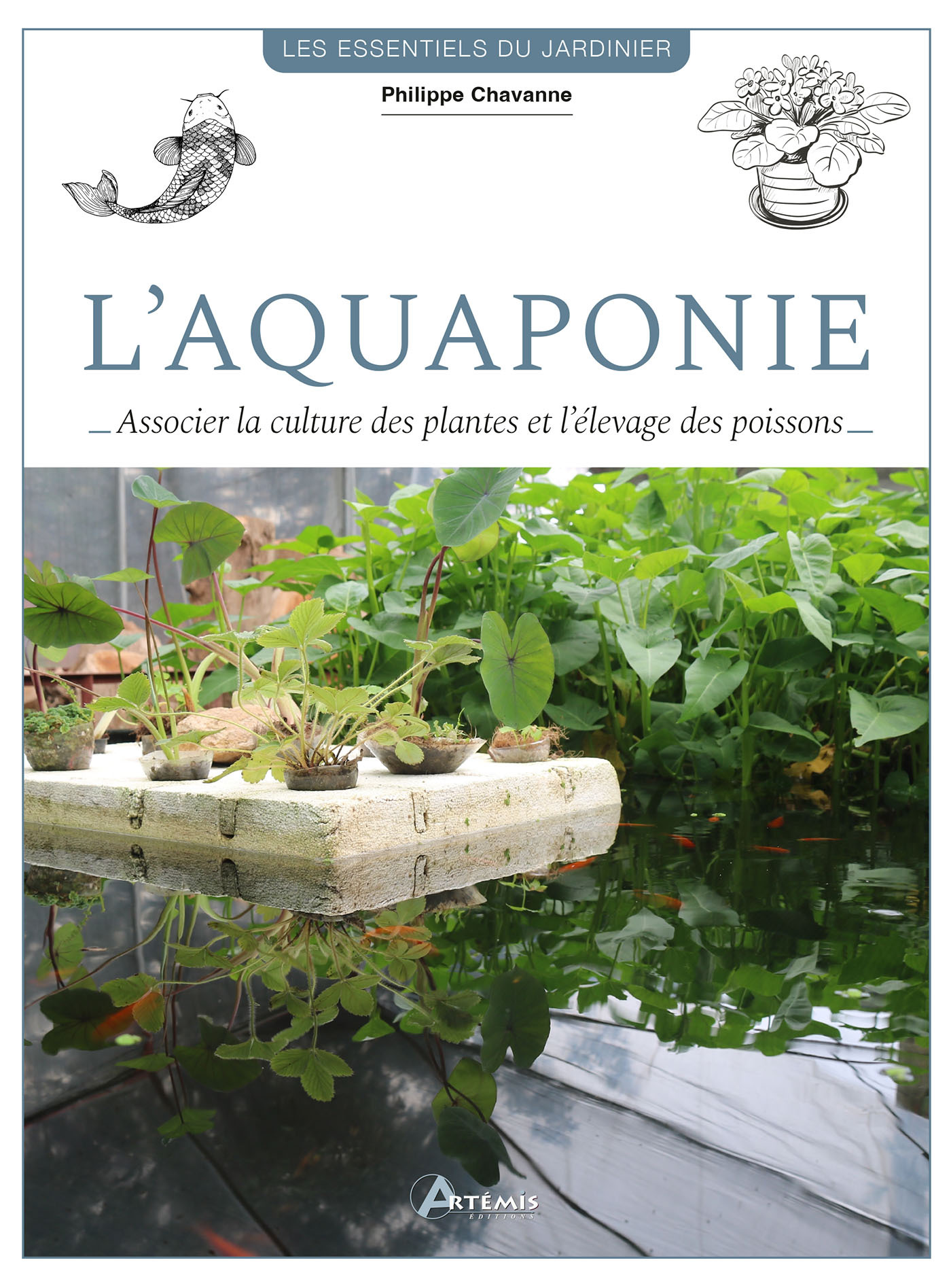 L'aquaponie