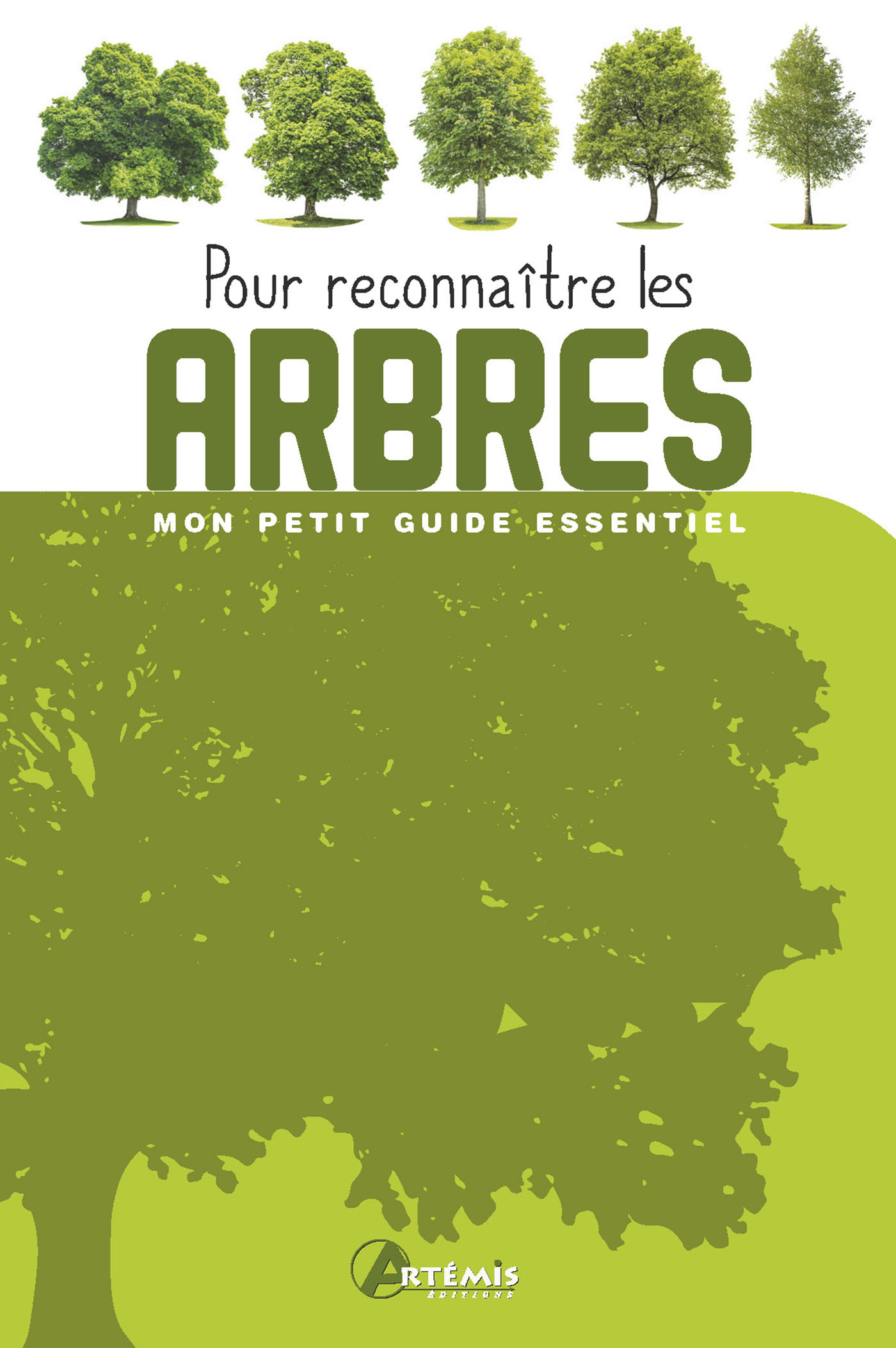 Pour reconnaître les Arbres