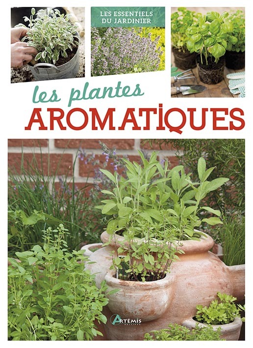 Plantes aromatiques