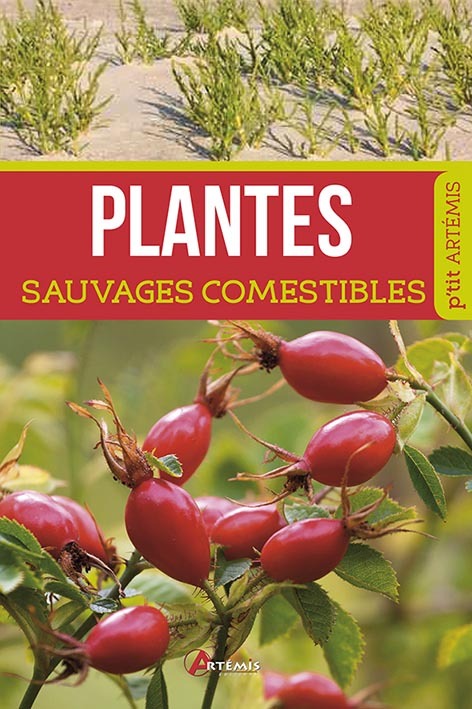 Plantes sauvages comestibles
