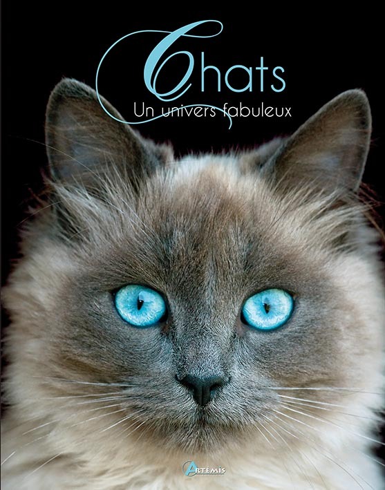 Chats - un univers fabuleux