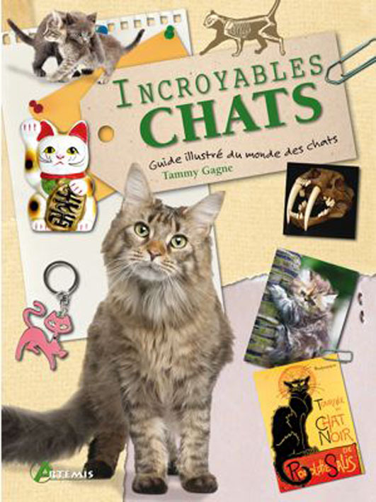 Incroyables chats - un recueil d'anecdotes félines