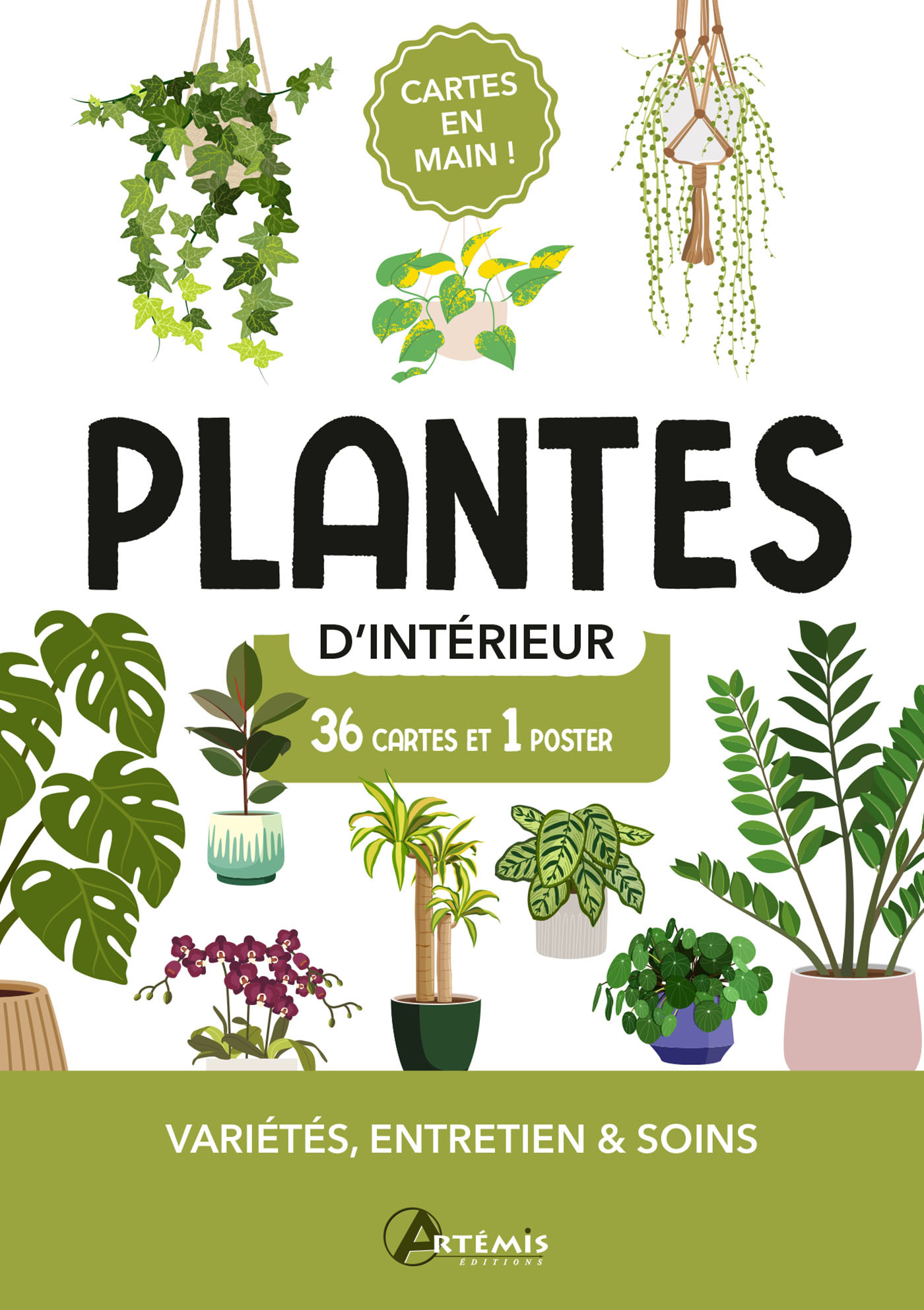 COFFRET CARTES PLANTES D'INTERIEUR - 36 CARTES + 1 POSTER