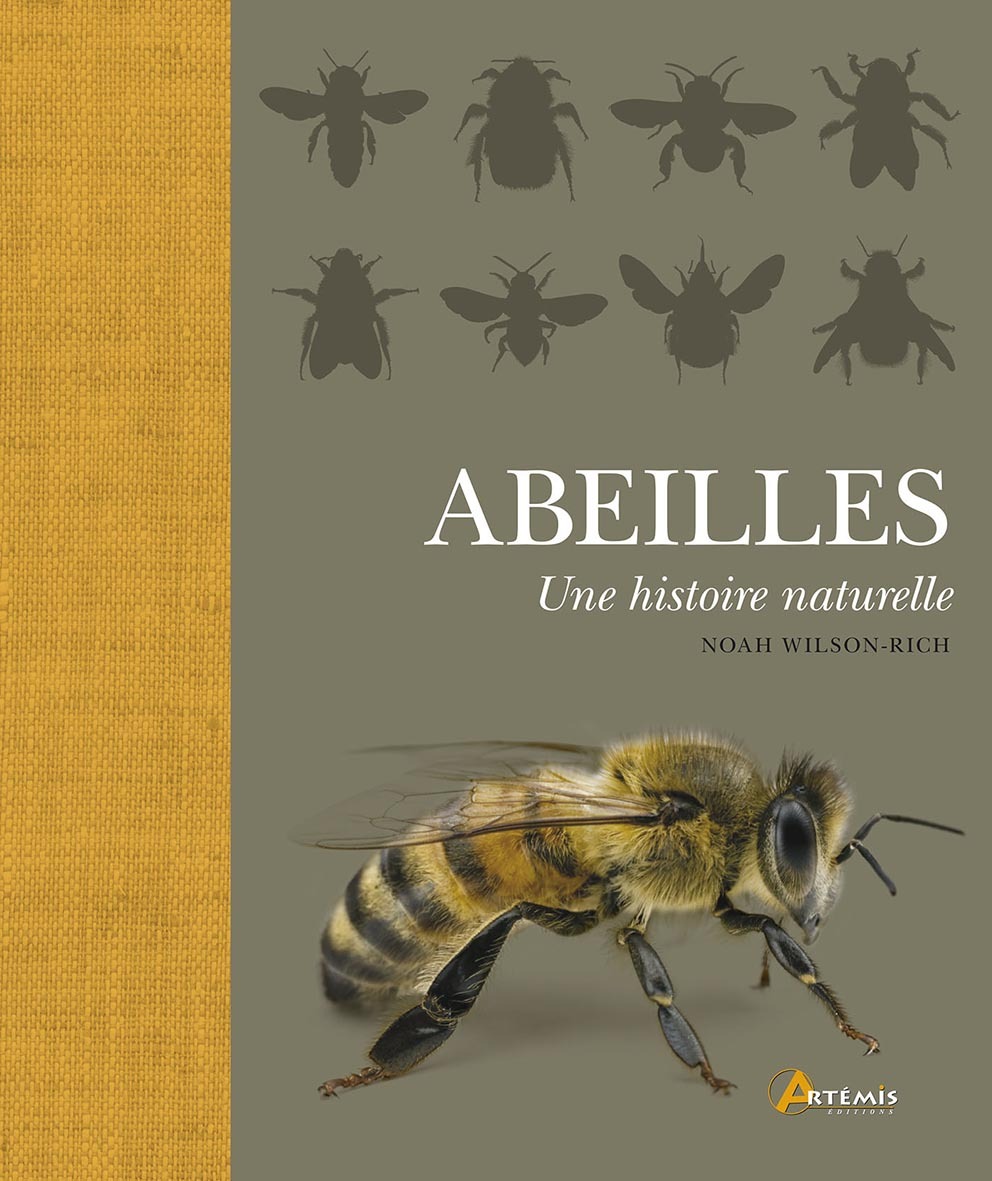 Abeilles - une histoire naturelle