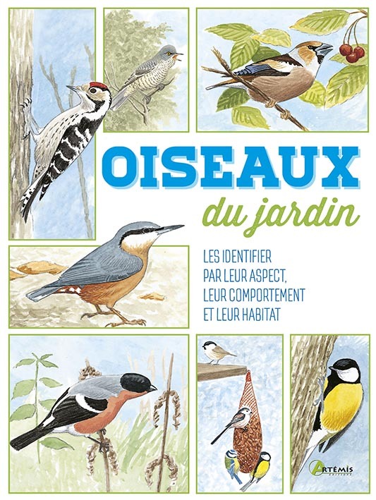Oiseaux du jardin