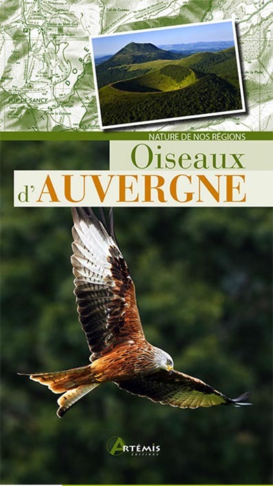 Oiseaux d'Auvergne