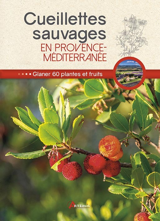 Cueillettes sauvages en Provence-Méditerranée