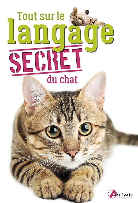 Tout sur le langage secret du chat