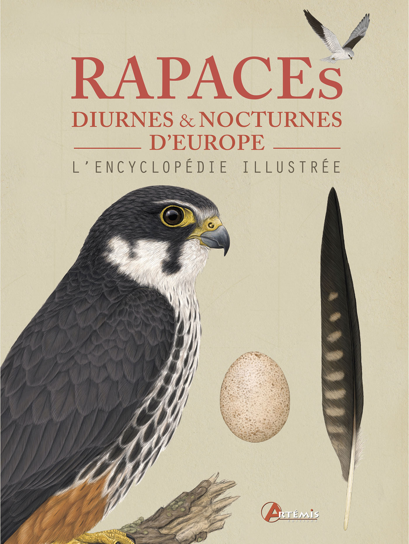 Rapaces diurnes et nocturnes d'Europe, l'encyclopédie illustrée