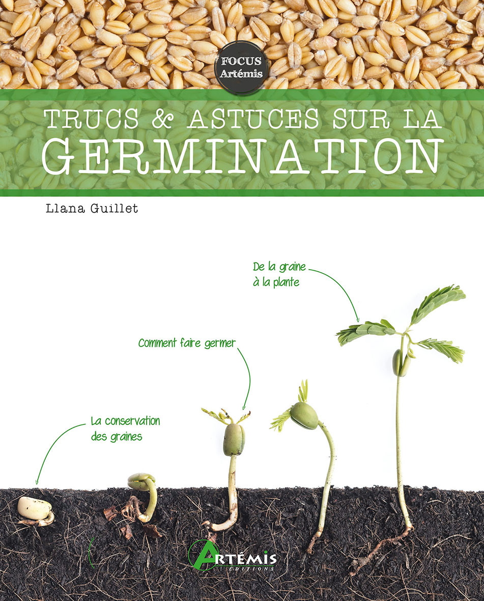 Trucs et astuces sur la germination