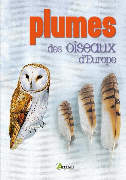 Plumes des oiseaux d'Europe