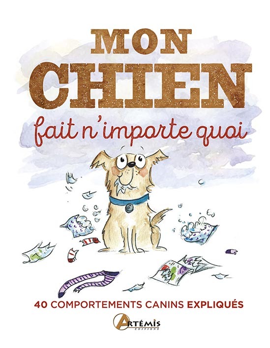 Mon chien fait n'importe quoi, 40 comportements canins étonnants expliqués