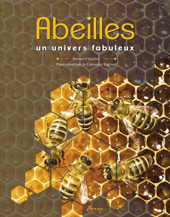 Abeilles, un univers fabuleux