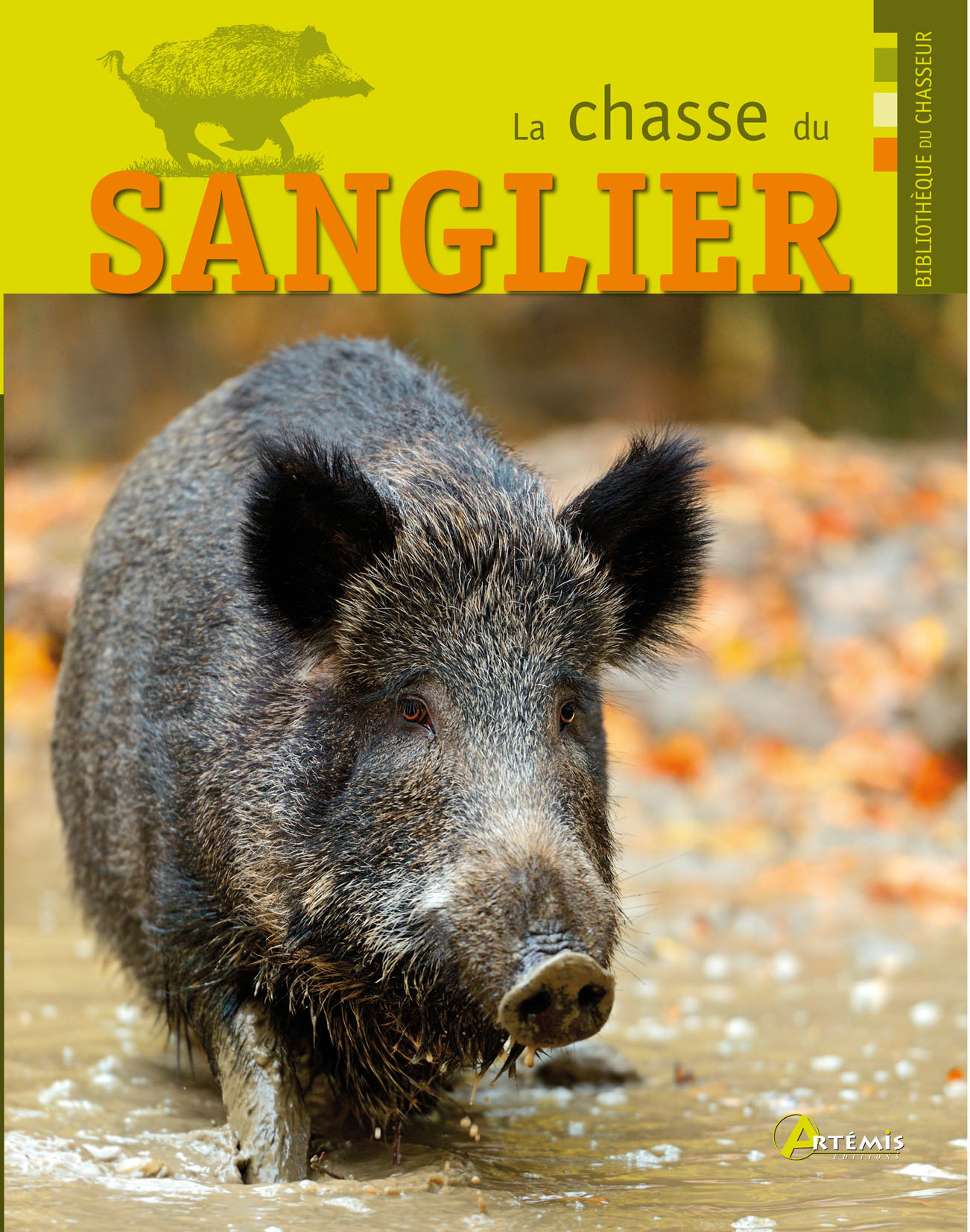 **LA CHASSE DU SANGLIER