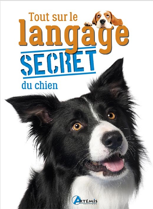 Tout sur le langage secret du chien