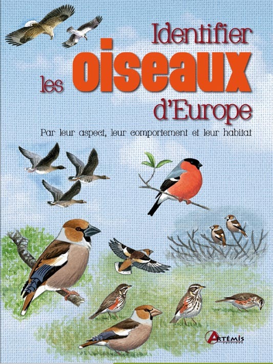 Identifier les oiseaux par leur comportement, leur habitat, etc.