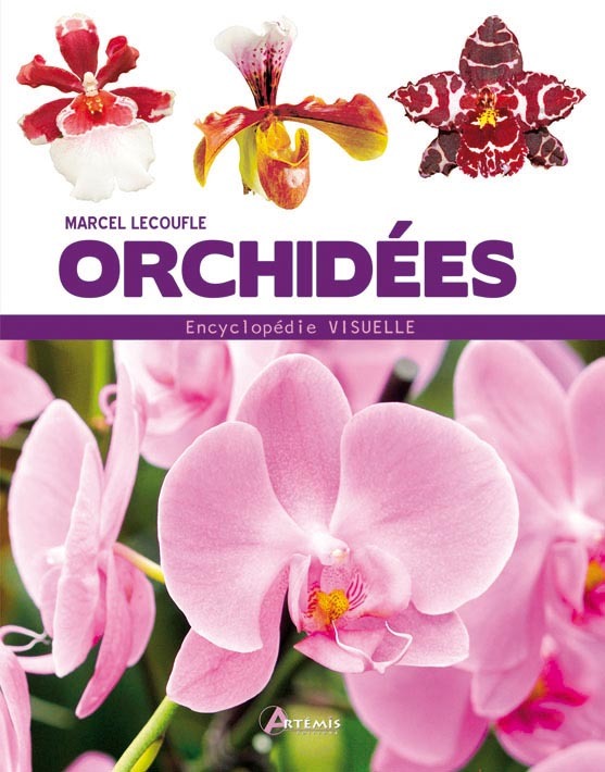 Orchidées