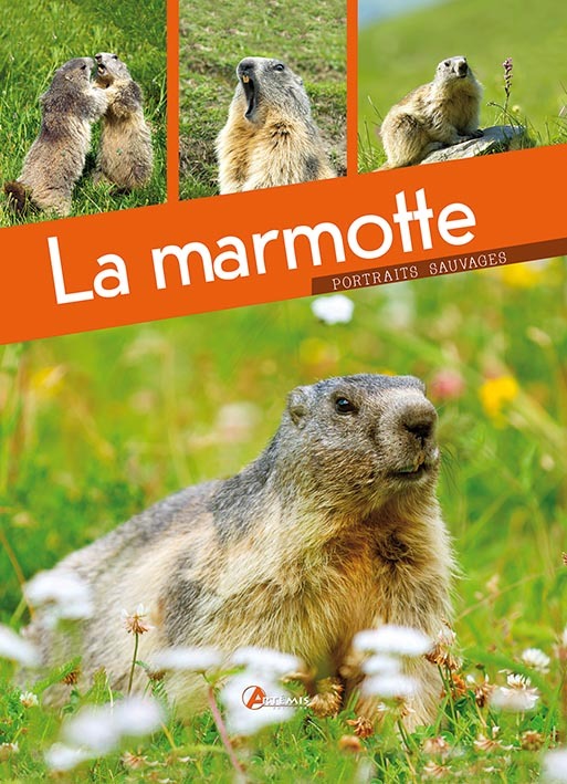 La marmotte