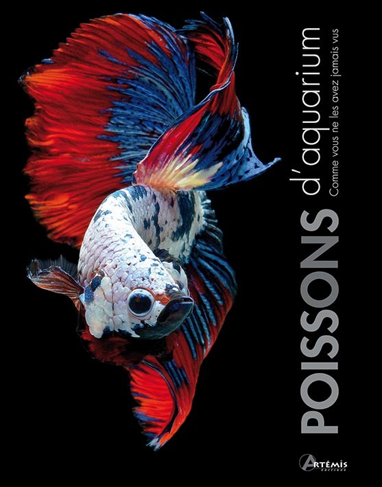 Poissons d'aquarium
