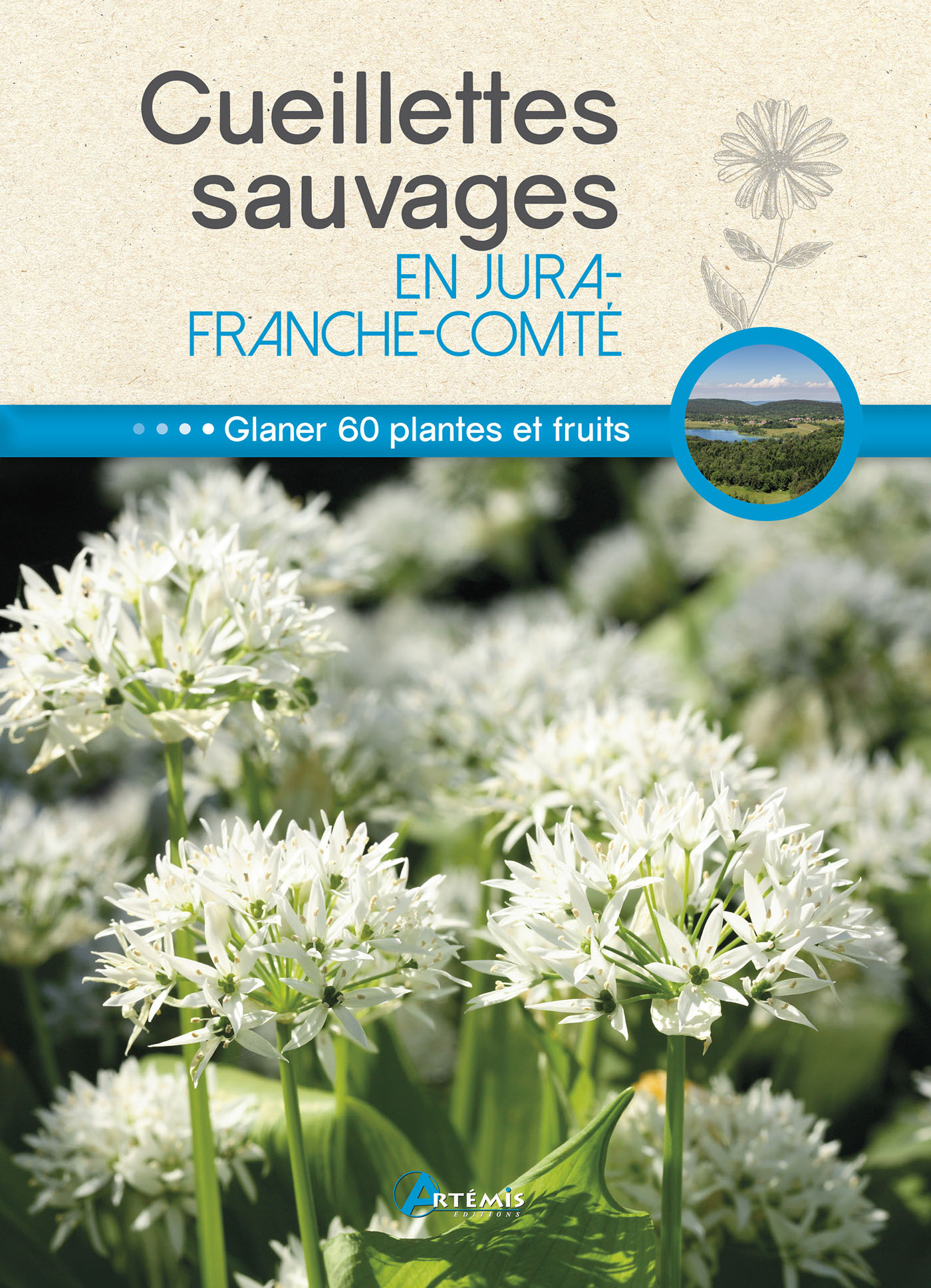 Cueillettes sauvages en Jura-Franche-Comté