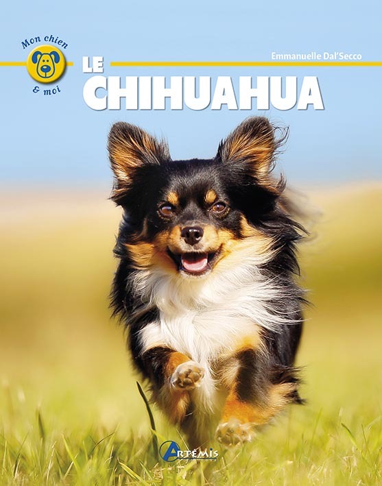 LE CHIHUAHUA