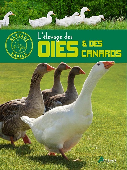 ELEVAGE DES OIES ET CANARDS