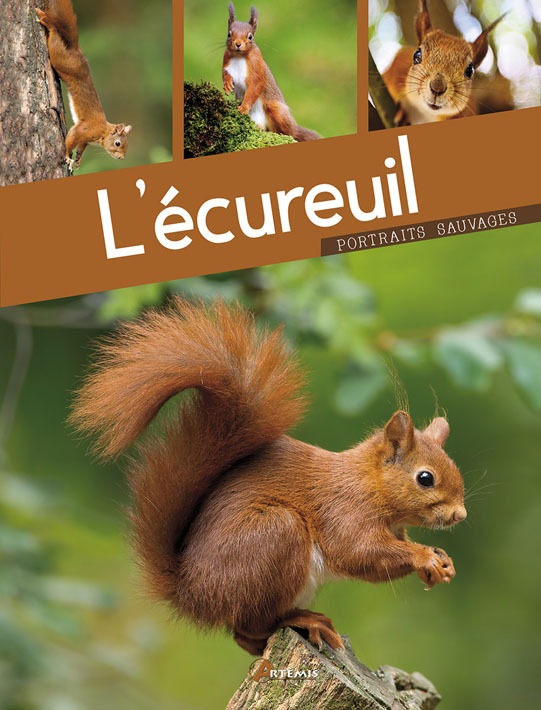L'ECUREUIL