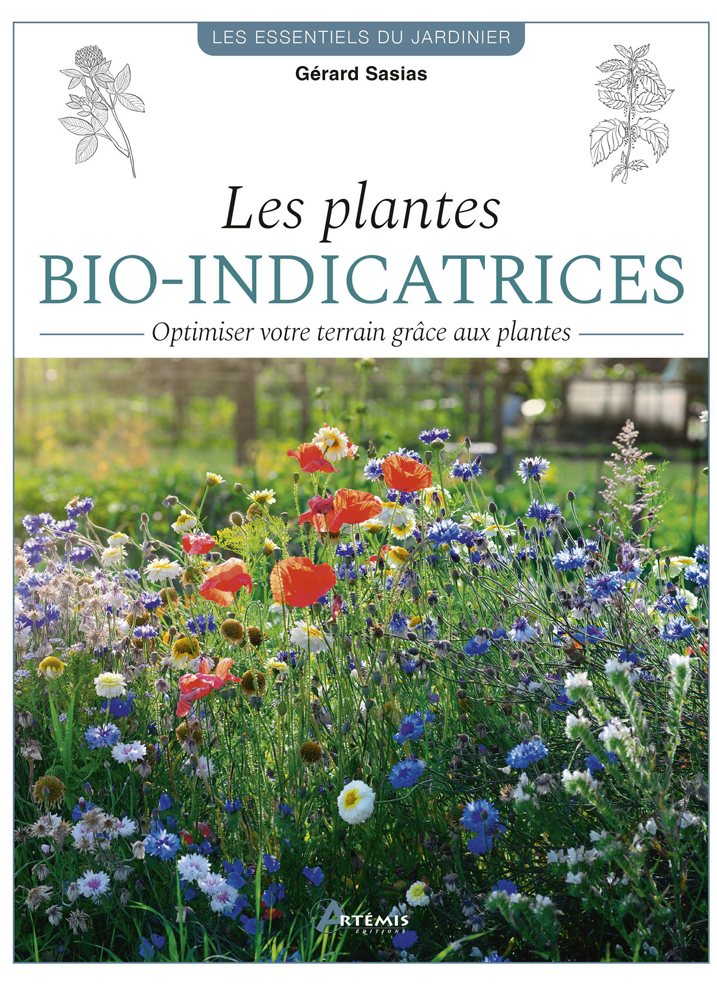 Les plantes bio-indicatrices