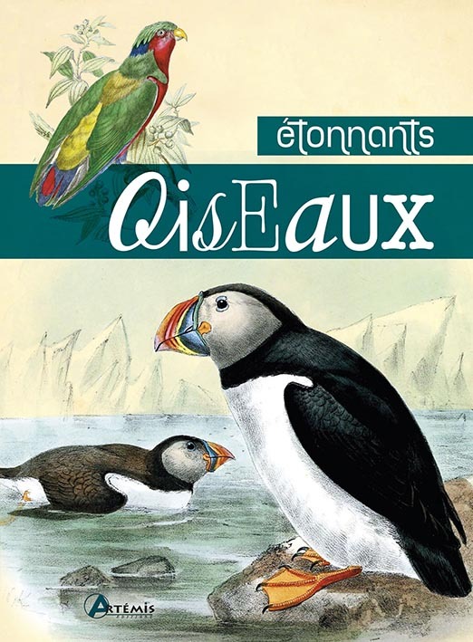 Étonnants oiseaux