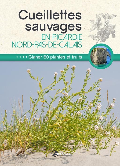 Cueillettes sauvages en Picardie-Nord-Pas-de-Calais