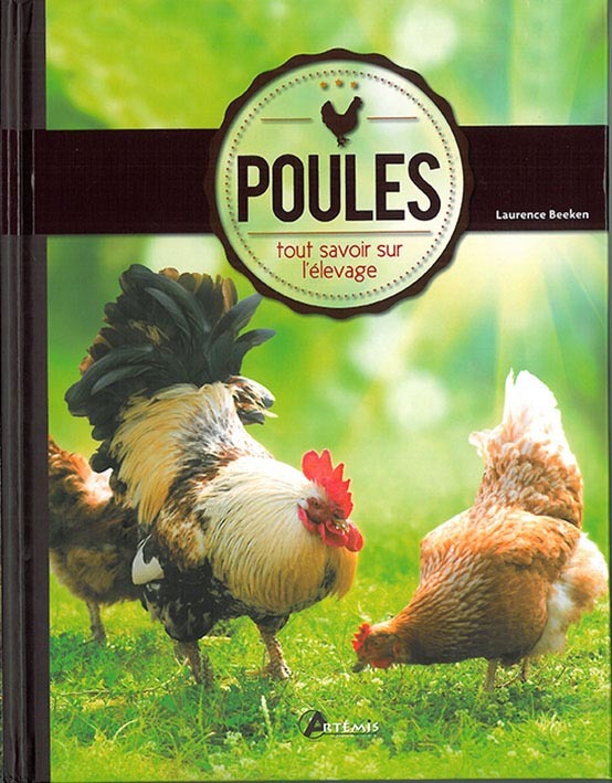 POULES TOUT SAVOIR SUR L'ELEVAGE