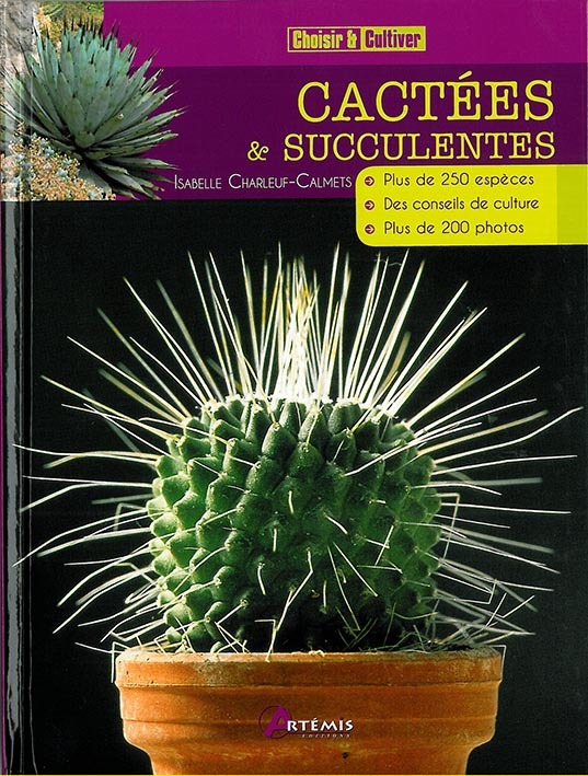 CACTEES SUCCULENTES