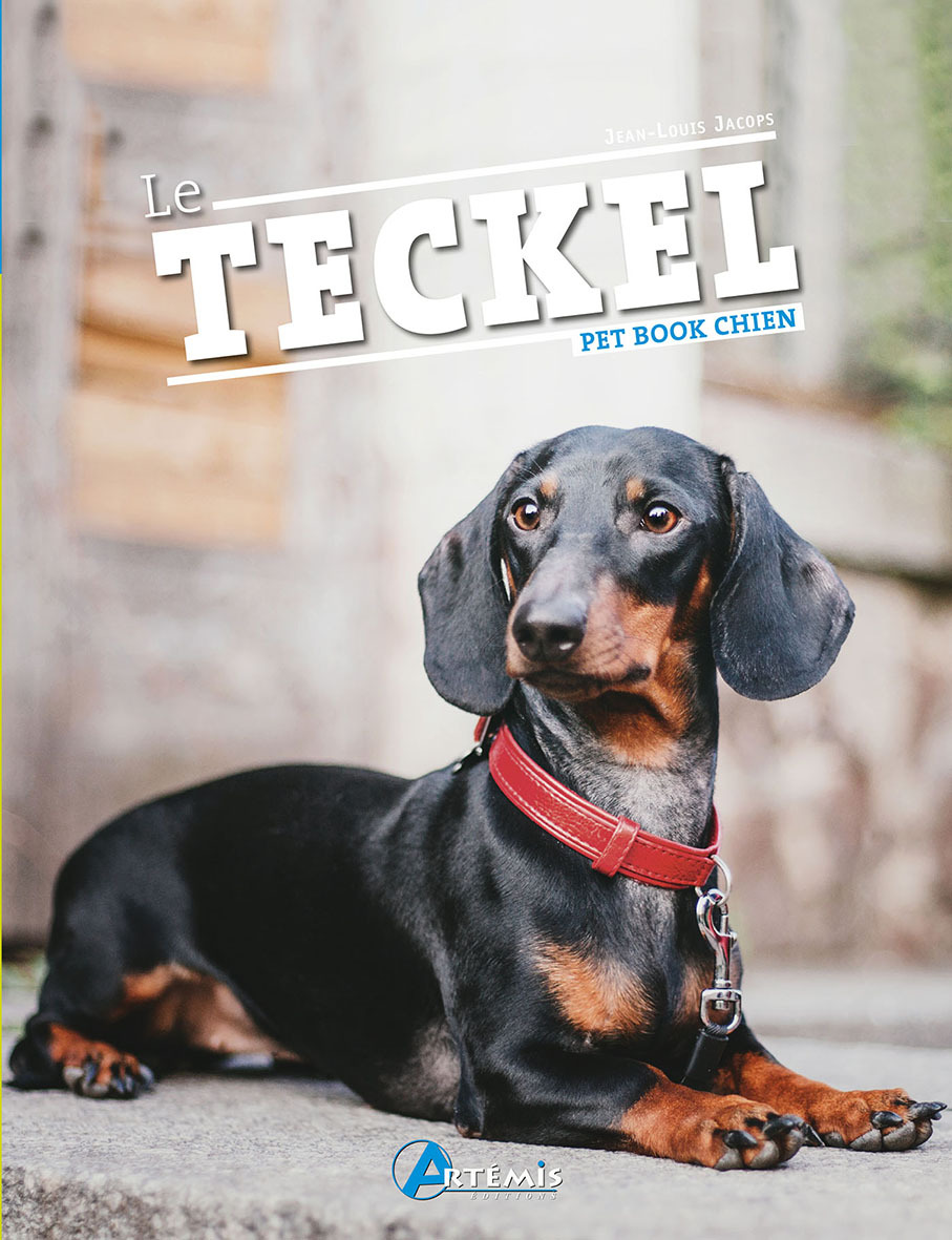 Le teckel
