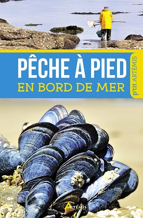 Pêche à pied en bord de mer