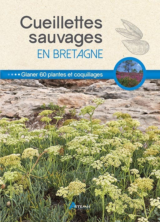 Cueillettes sauvages en Bretagne